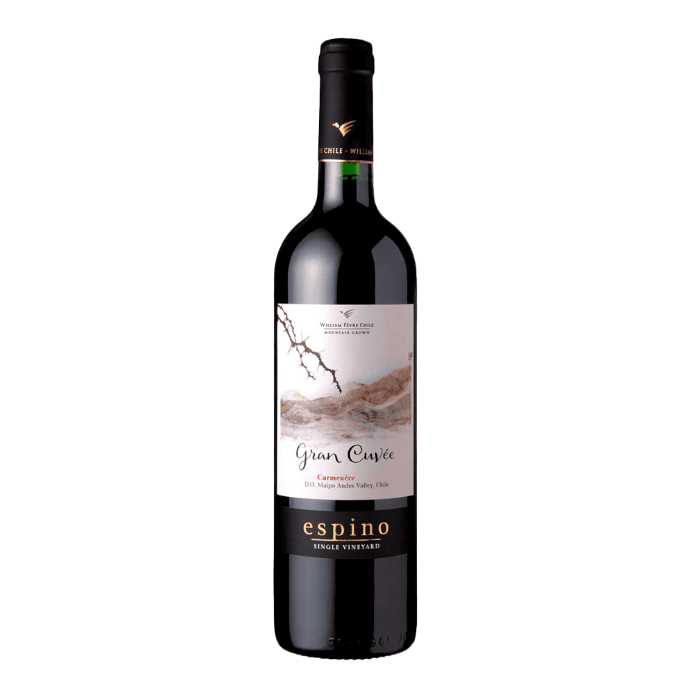 Vinho Espino Gran Cuvee Carménère 750ml