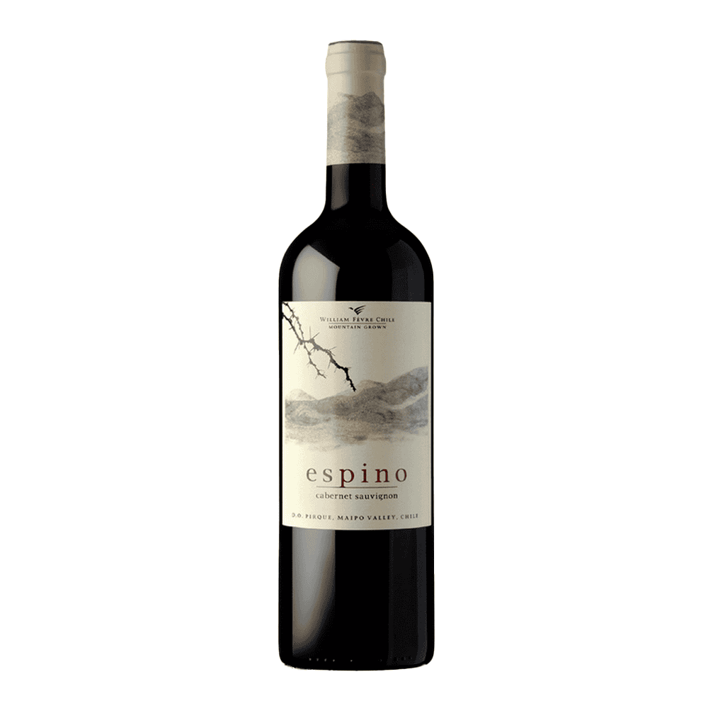 Vinho Espino Reserva Especial Cabernet Sauvignon 750ml