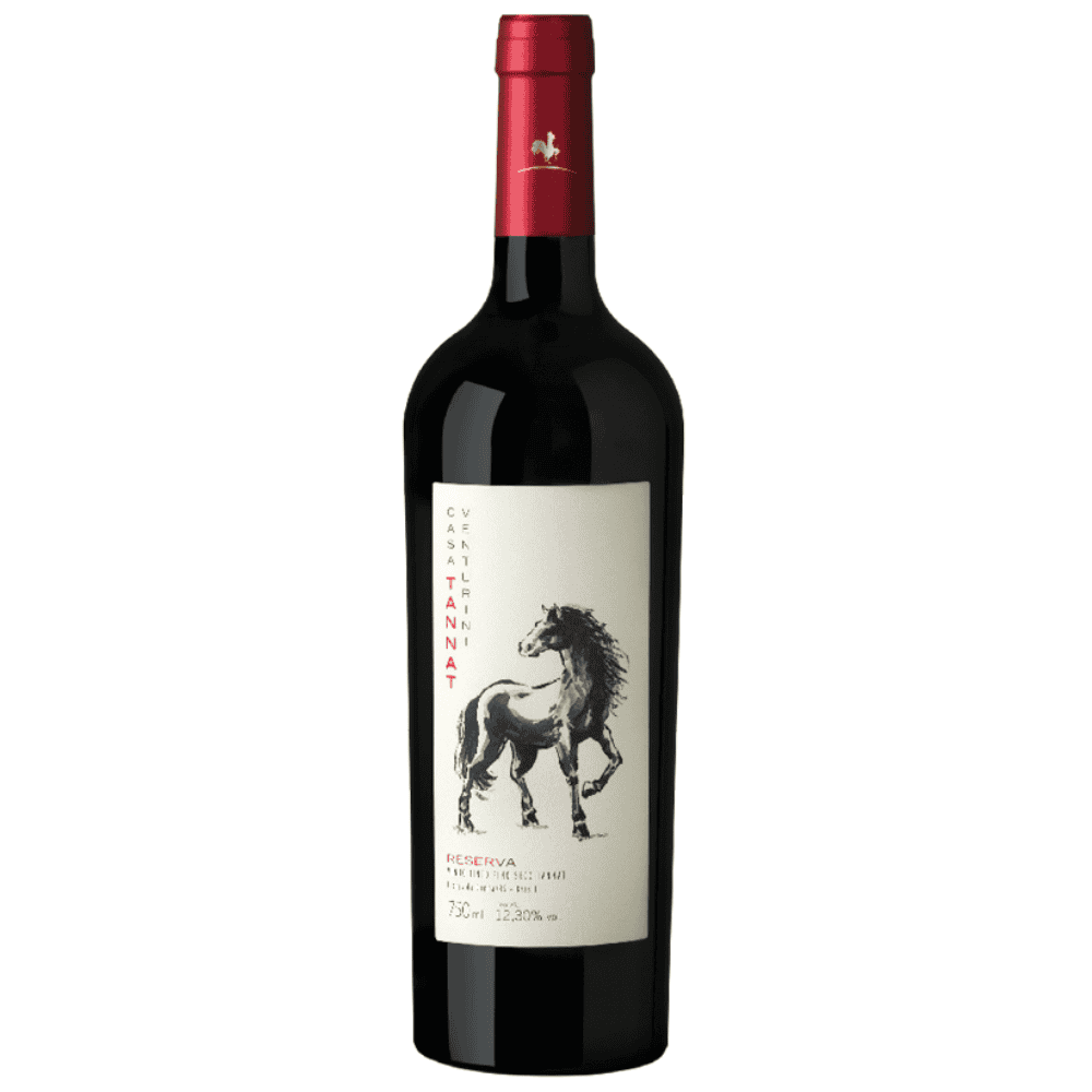 Vinho Góes Casa Venturini Reserva Tannat 750ml