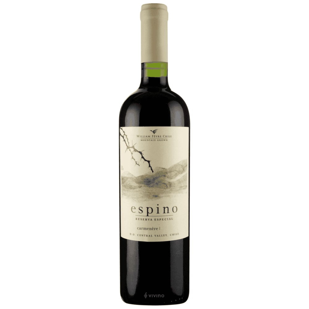 Vinho Espino Reserva Especial Carmenere 750ml