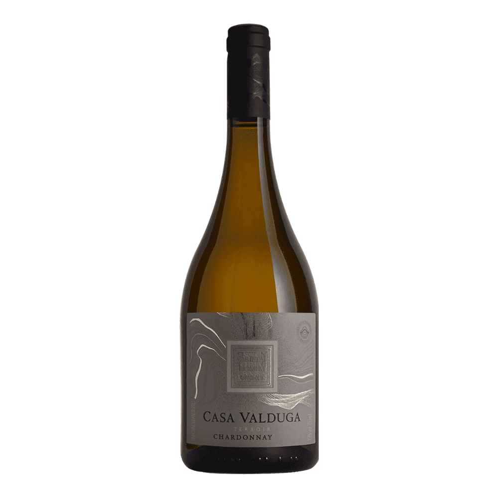 Vinho Casa Valduga Terroir Chardonnay 750ml