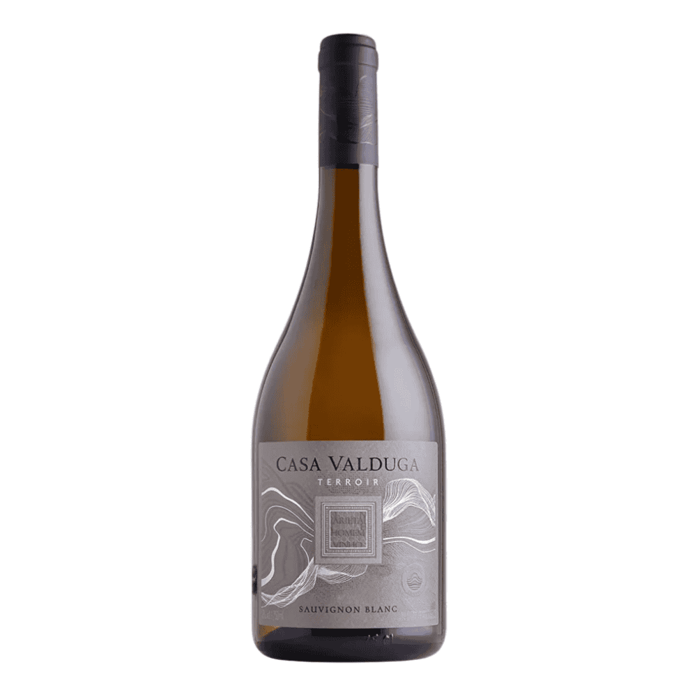 Vinho Casa Valduga Terroir Sauvignon Blanc 750ml