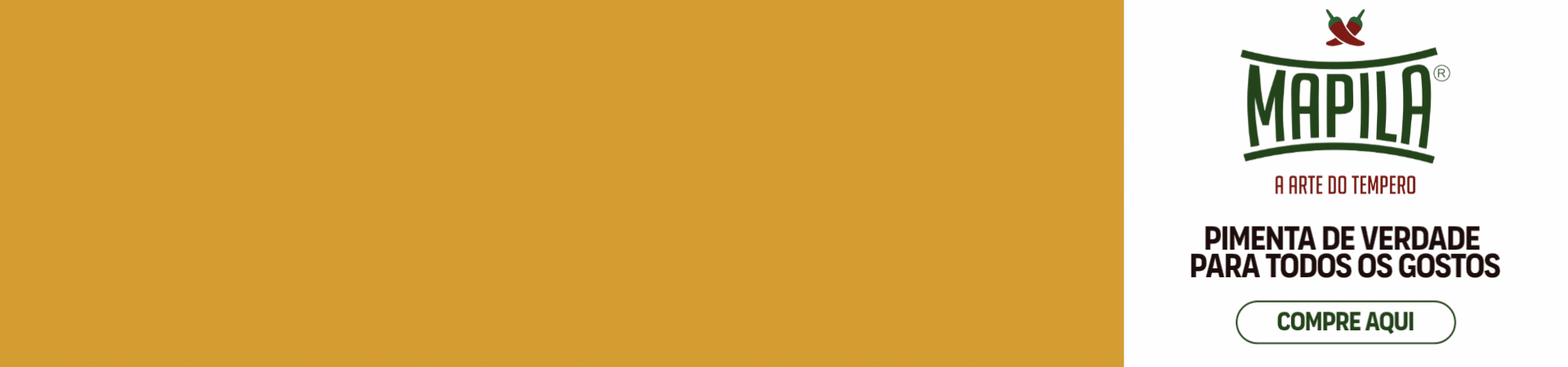 Banner promocional 1
